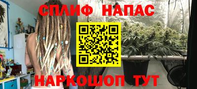 PSILOCYBIN Будённовск