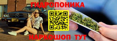 PSILOCYBIN Будённовск